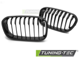 BMW F20/F21 LCI (15-18) FÉNYES FEKETE Tuning-Tec Hűtőrács